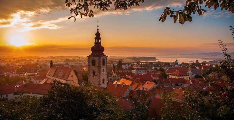 Hostel Sonce Ptuj Bagian luar foto