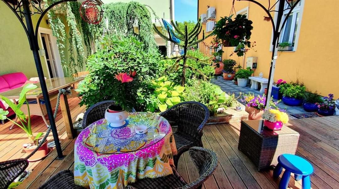 Hostel Sonce Ptuj Bagian luar foto