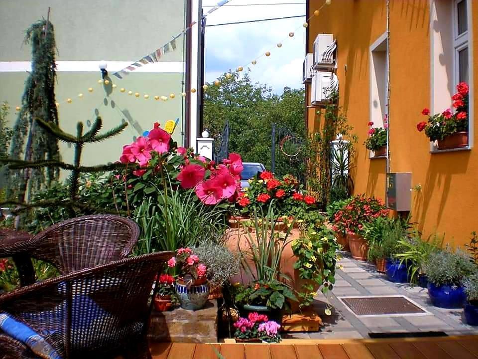 Hostel Sonce Ptuj Bagian luar foto