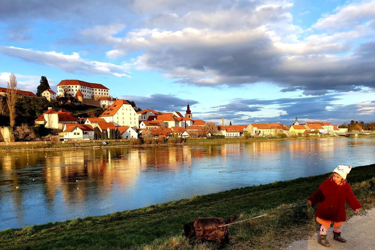 Hostel Sonce Ptuj Bagian luar foto
