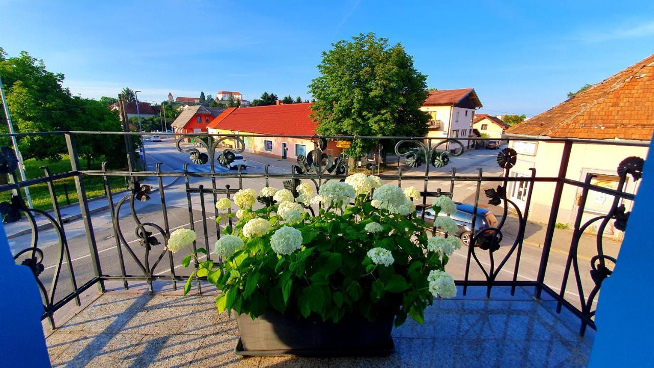 Hostel Sonce Ptuj Bagian luar foto