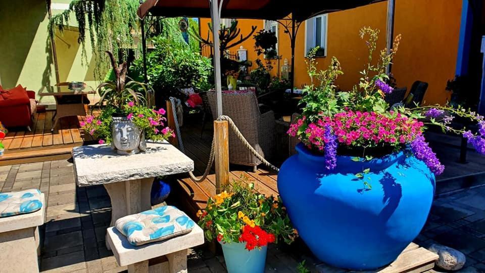 Hostel Sonce Ptuj Bagian luar foto